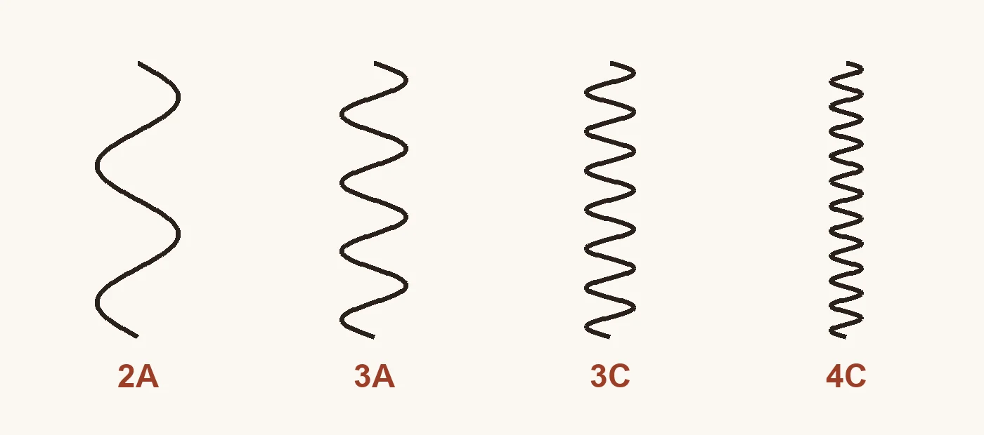 Quatre mèches de cheveux côte à côte sur fond crème, de l'ondulation large en S à la spirale très serrée